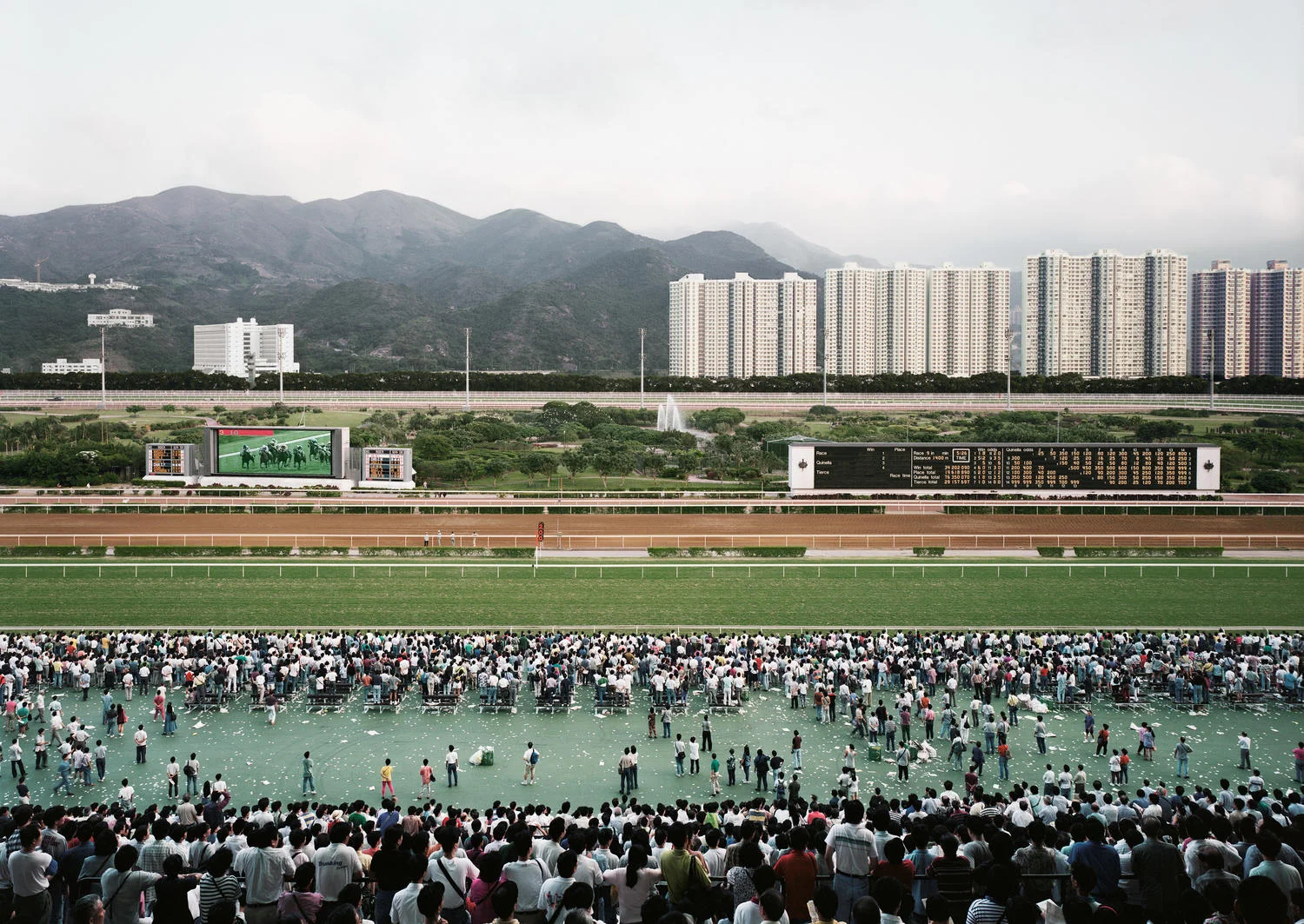 Andreas Gursky's Banded Composition - Horoma's Library - Obsidian